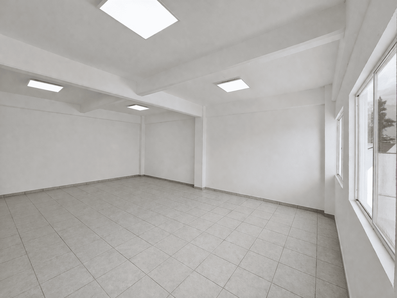 Interior_primaria_diana_laura